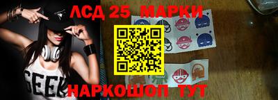 гидра Камышлов