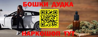 гидра Кинель