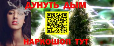 гидра Кинель