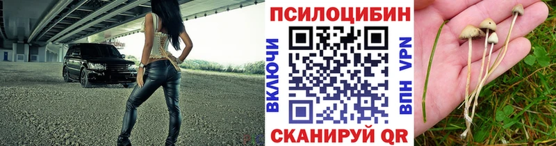 Псилоцибиновые грибы Magic Shrooms  Костомукша 
