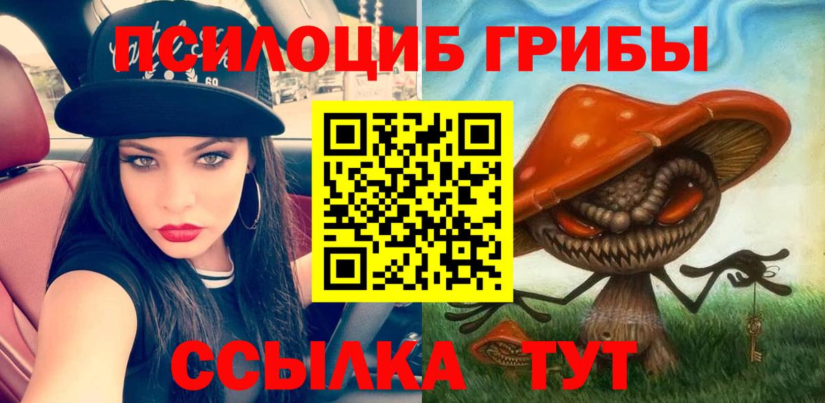 Псилоцибиновые грибы прущие грибы Костомукша