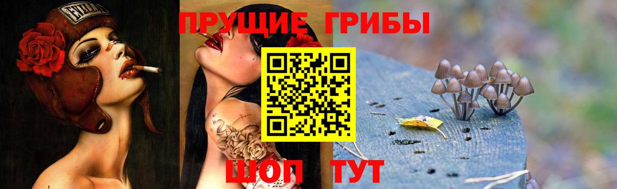Костомукша  Псилоцибиновые грибы Cubensis  Вход с VPN 